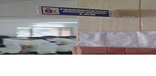 Pharmaceutical inorganic Lab